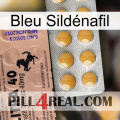 Bleu Sildénafil 41